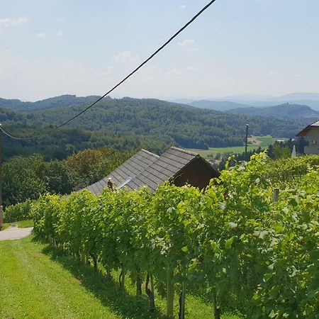 Zidanica Meglic - Vineyard Cottage Meglic Trebnje Екстериор снимка