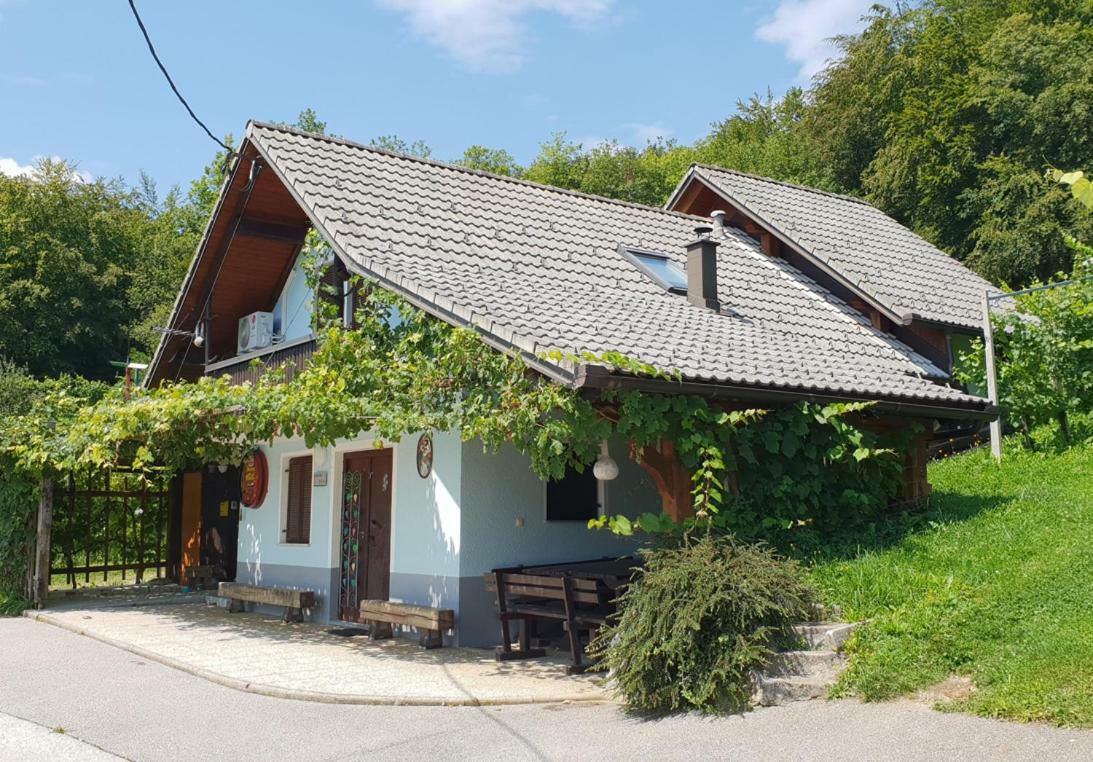 Zidanica Meglic - Vineyard Cottage Meglic Trebnje Екстериор снимка