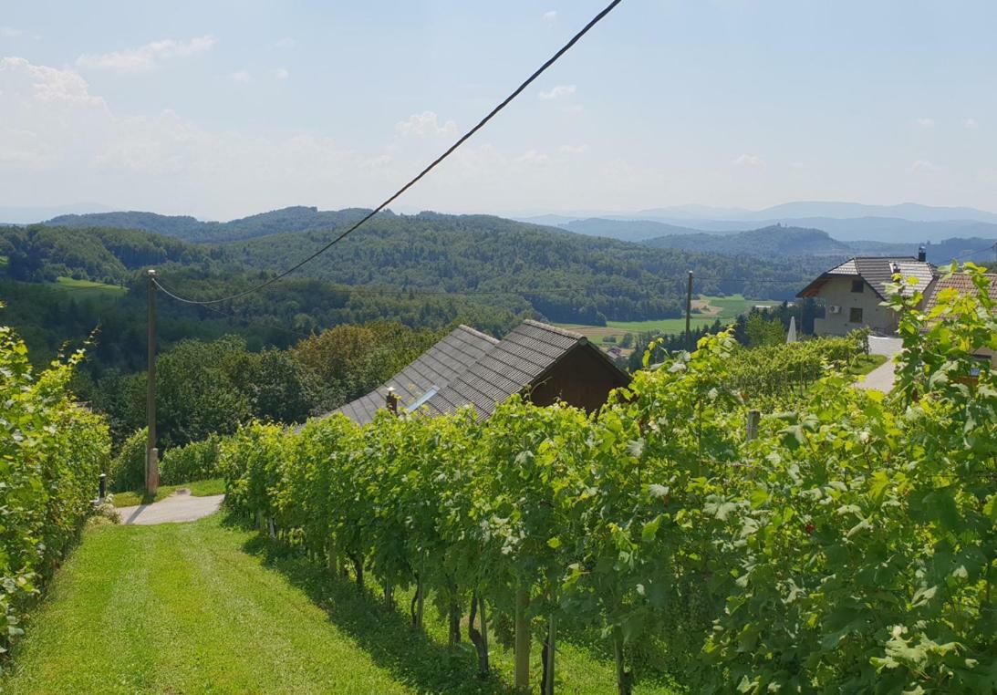 Zidanica Meglic - Vineyard Cottage Meglic Trebnje Екстериор снимка