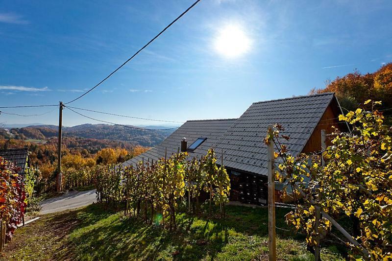 Zidanica Meglic - Vineyard Cottage Meglic Trebnje Екстериор снимка